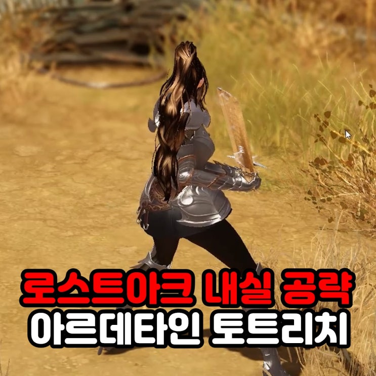  토트리치 모코코 위치 및 모험의서 내실 공략 / 로아 로스트아크 아르데타인