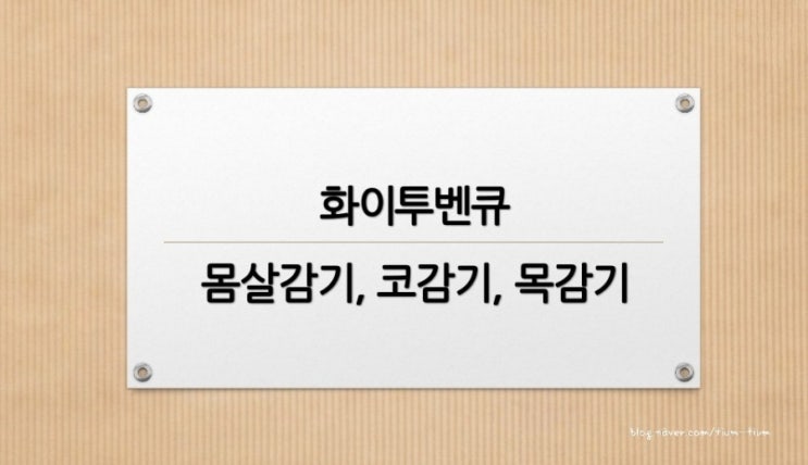 초기감기 똑 떨어지는 약 추천