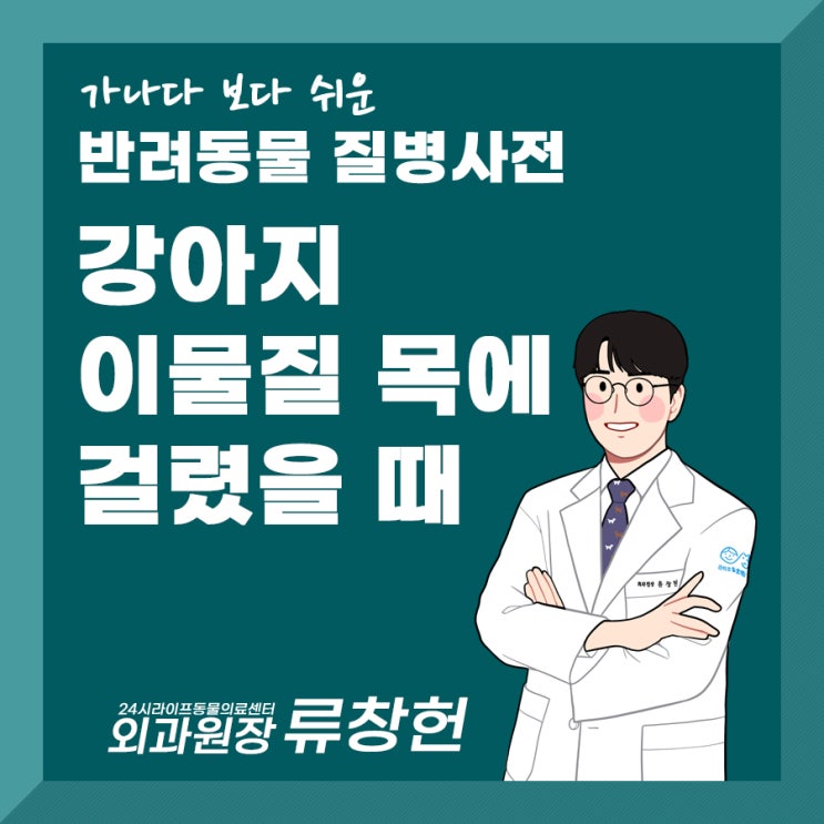 강아지 목에 이물질이 걸렸을 때 (강아지 식도이물) : 24시라이프동물의료센터