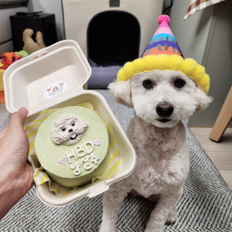  김해 강아지 생일 수제 케이크 <플레르룬>