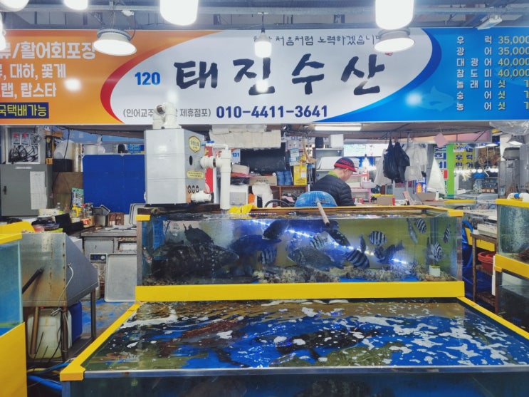  [당진맛집] 삽교호맛집 태진수산 회포장 후기