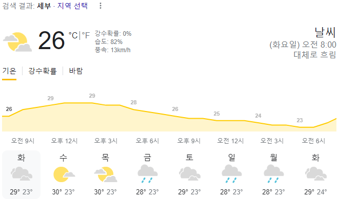  2024년 1월 23일 세부 날씨 올려드려요
