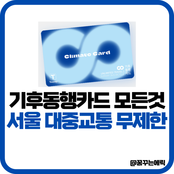 <b>기후동행카드 서울 대중교통</b> 정기권 무제한 신분당선 버스