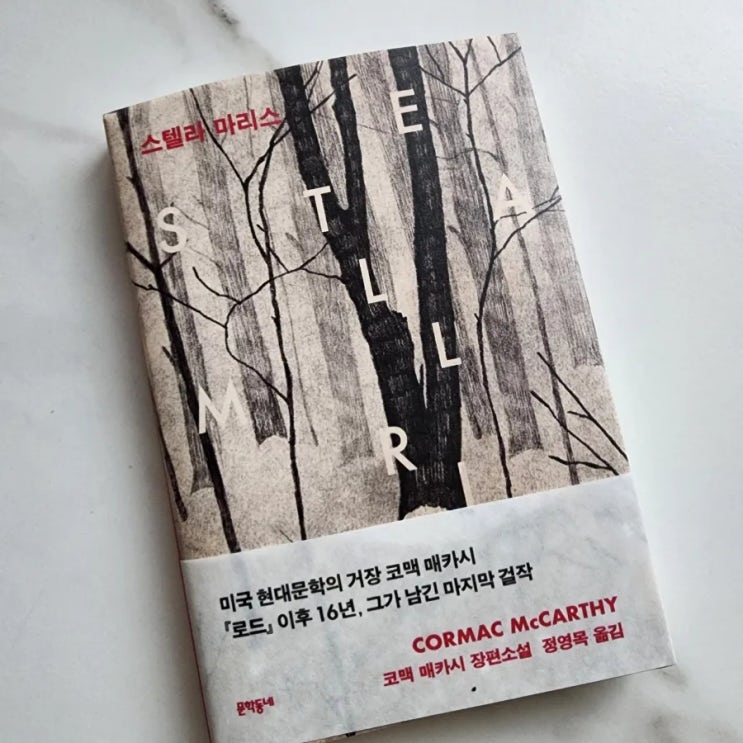  코맥 매카시 '스텔라 마리스' 후기 : 얼리샤의 데스마스크를 움직이는 그녀의 의식과 무의식