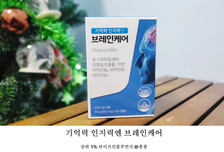  기억력 두뇌 영양제 브레인케어 은행잎 추출물 포스파티딜세린 효능