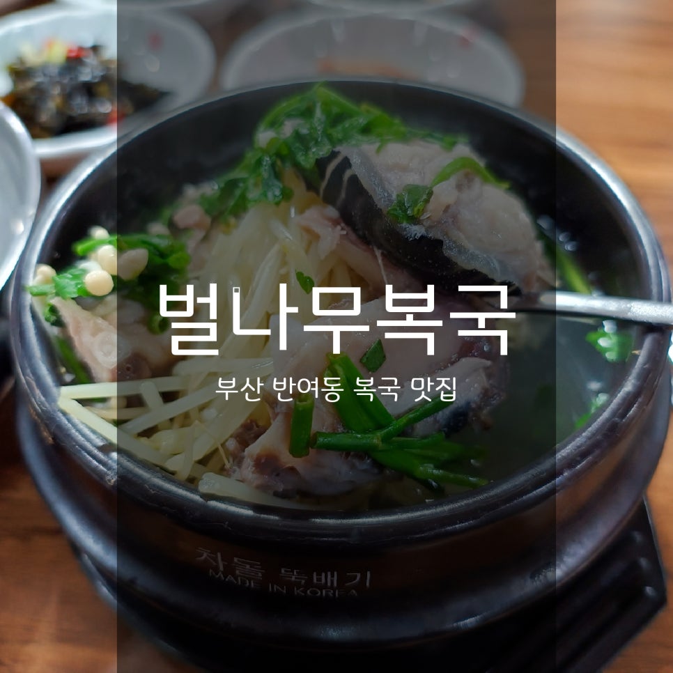 원조벌나무복국 사진 1