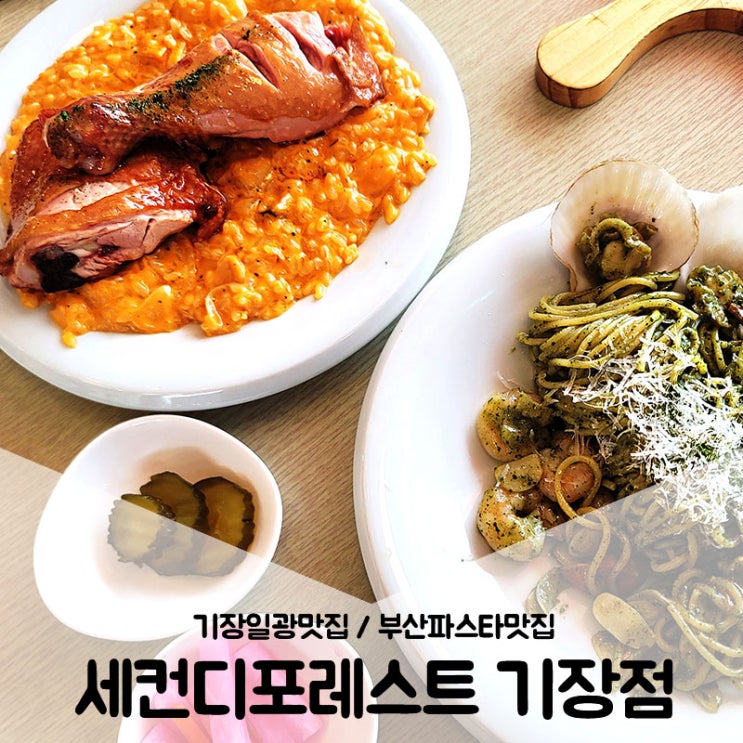  기장일광맛집 / 바다가 보이는 부산파스타맛집 세컨디포레스트 기장점