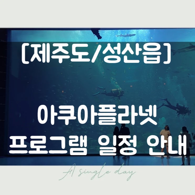  [제주도/성산읍] 아쿠아플라넷 프로그램 일정 안내 (동선별 행사 시간 정리)
