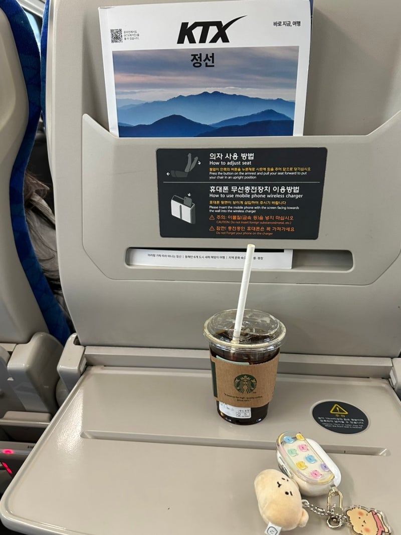 0115~0131 일상 :: 잘 먹고 잘 사는 자취생(셀프 사이드미러 베젤 수리, 동해 여행, 아이유 콘서트 티켓팅, 끝나지 않은  집들이, 요리해먹기) : 네이버 블로그