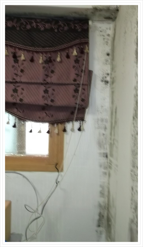  창문 벽에 곰팡이제거? 이렇게 심한 집도 해결!
