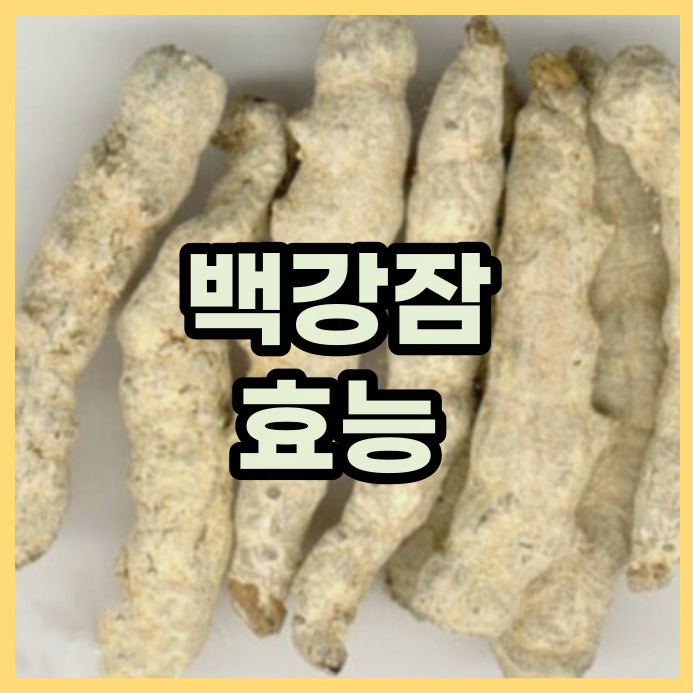  누에+백강균. 강시와 비슷한 백강잠의 효능
