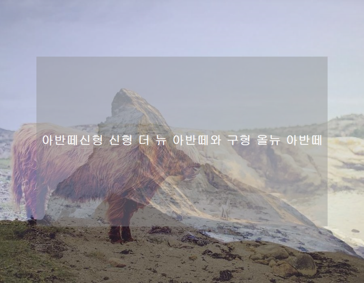 아반떼신형 신형 더 뉴 아반떼와 구형 올뉴 아반떼