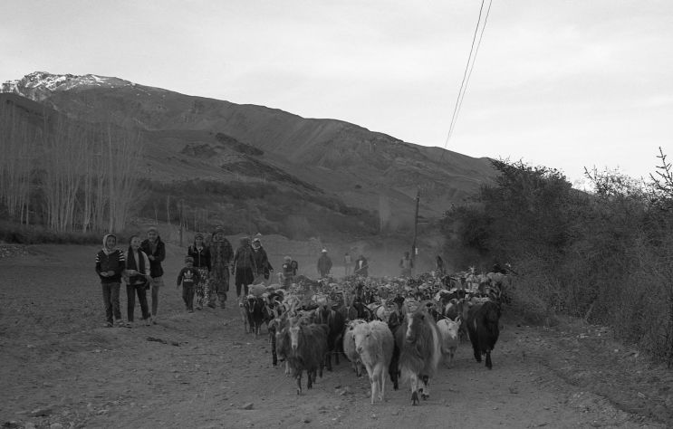  Pamir plateau travel_파미르고원 여행