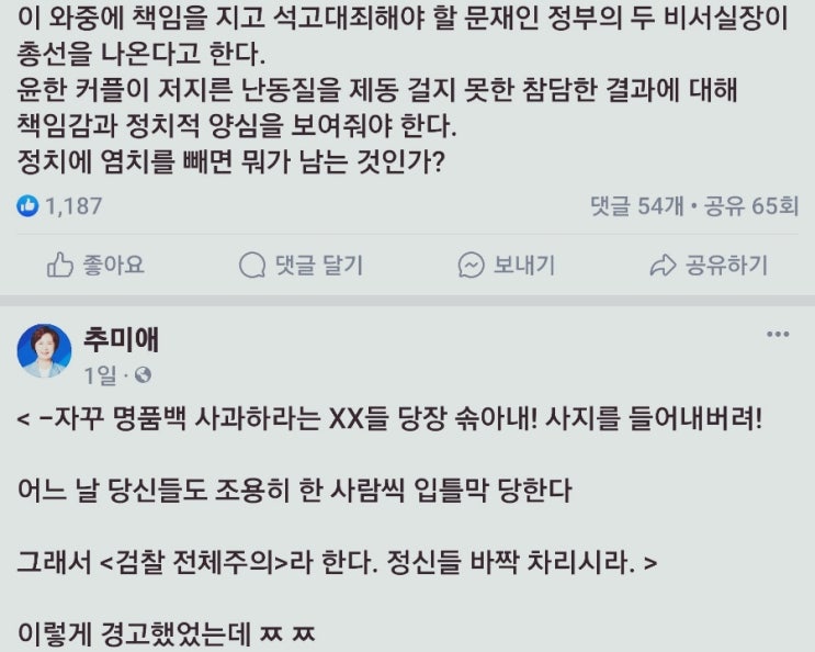 <b>임종석</b>과 노영민 사실상 저격. 총선 출마에 쓴소리/최석태/