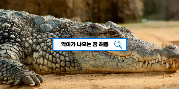  [꿈해몽풀이] 악어꿈 물리는 꿈 악어떼 나오는 꿈 해몽 풀이 길몽?흉몽?