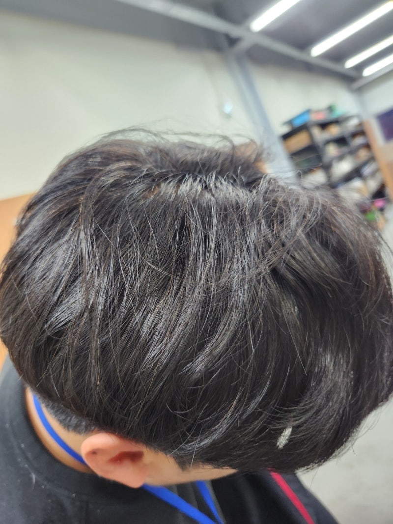 새치 염색샴푸 부작용과 실제 염색샴푸 사용 후기