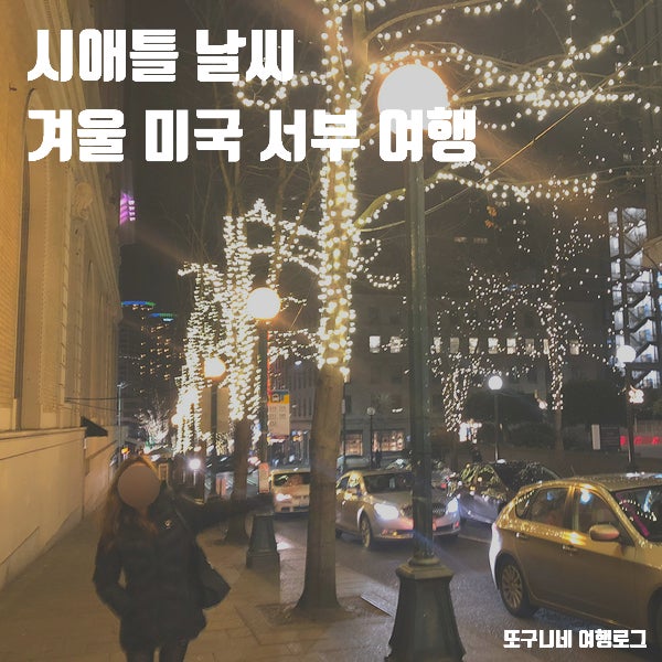  시애틀 날씨 1월 2월 겨울 미국 서부
