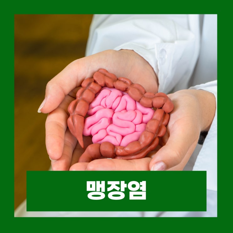 맹장염 초기증상 오른쪽 아랫배 통증 맹장 위치