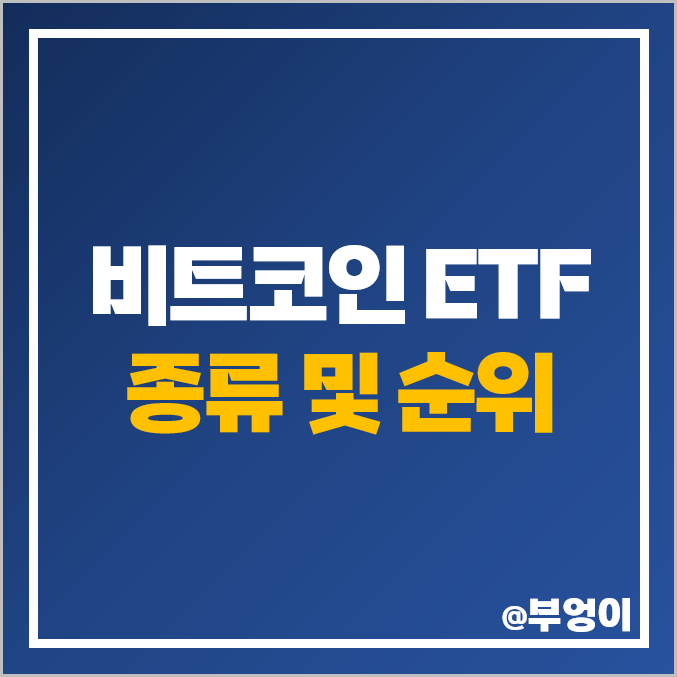 비트코인 ETF 종류 순위 수수료 수익률 시가총액 GBTC IBIT ARKB FBTC 비트코인 ETF 종류 순위 수수료 수익률 시가총액 GBTC IBIT ARKB FBTC