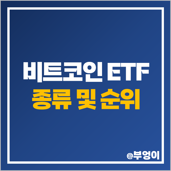 비트코인 ETF 종류 순위 수수료 수익률 시가총액 GBTC IBIT ARKB FBTC