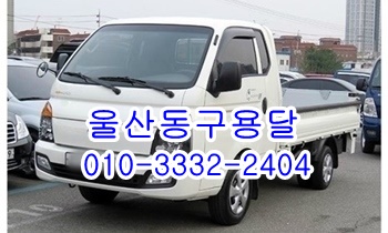 울산동구용달 방어진 정자 제주도 양남 울릉도 감포.
