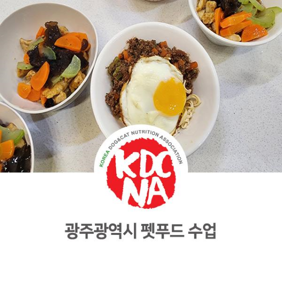 NO.1080 광주 에브리독애견미용학원 반려동물영양간식전문가 펫푸드 자격 취득 과정