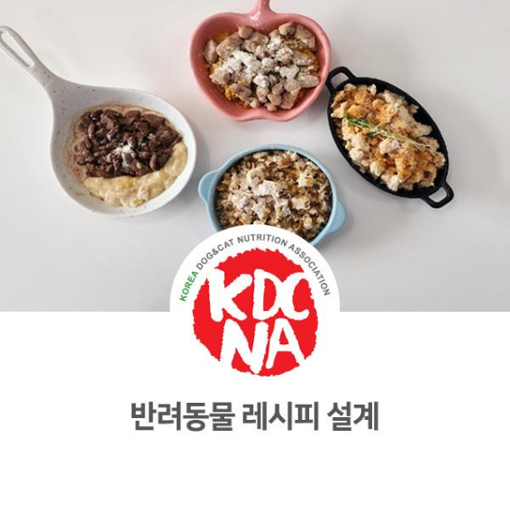  NO.1081 반려동물 수제 레시피 설계할 때 알아야 할 사항