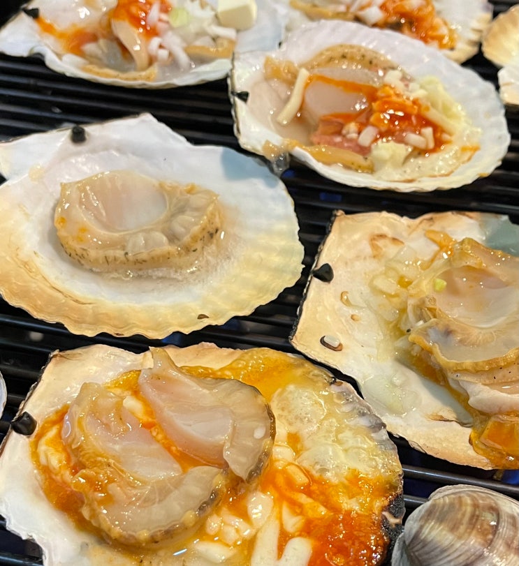 [제주 연동 맛집] 제주공항 근처 조개구이 조개찜 도민맛집 : 조개마당