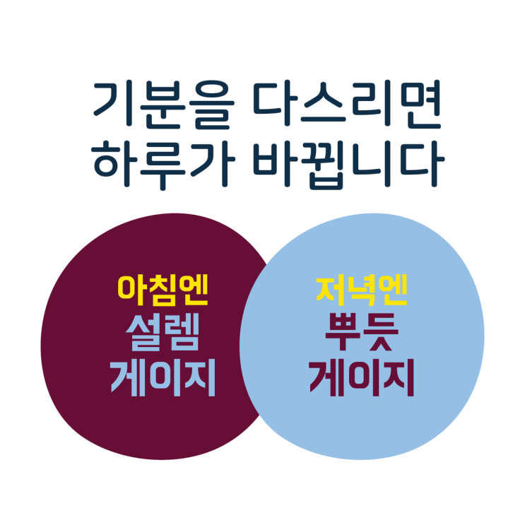  기분을 다스리면 하루가 바뀝니다. [자기 계발 도구 MWR 12주 차 피드백]