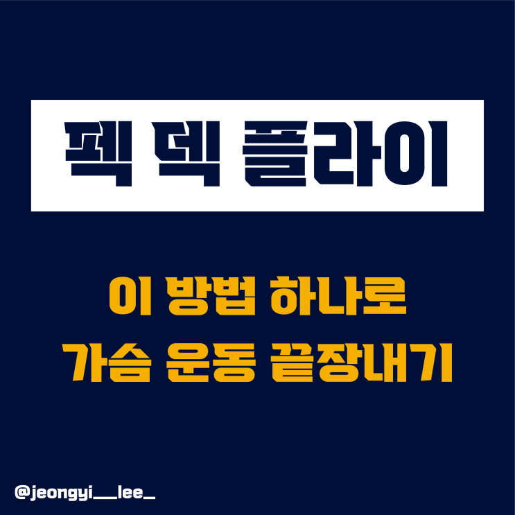  헬스장 초보 필수 운동 /  플라이 머신[가슴 운동]