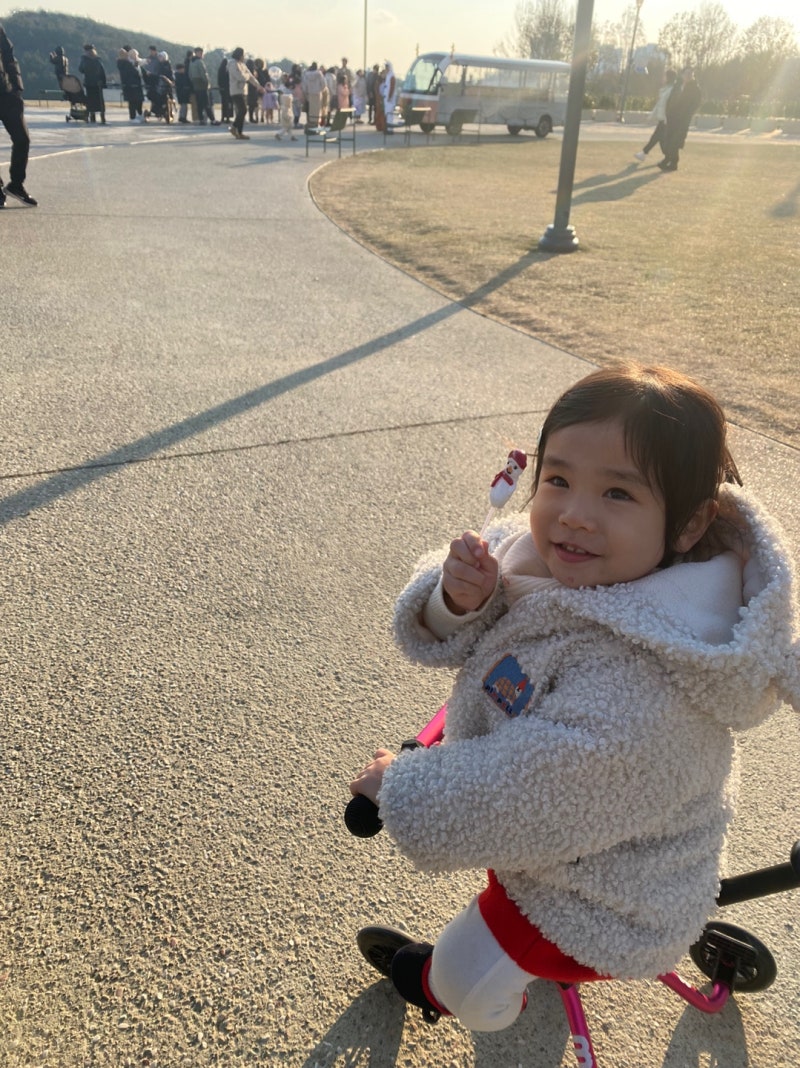 마이크로 트라이크 사용 후기(제품설명, 장단점 등)
