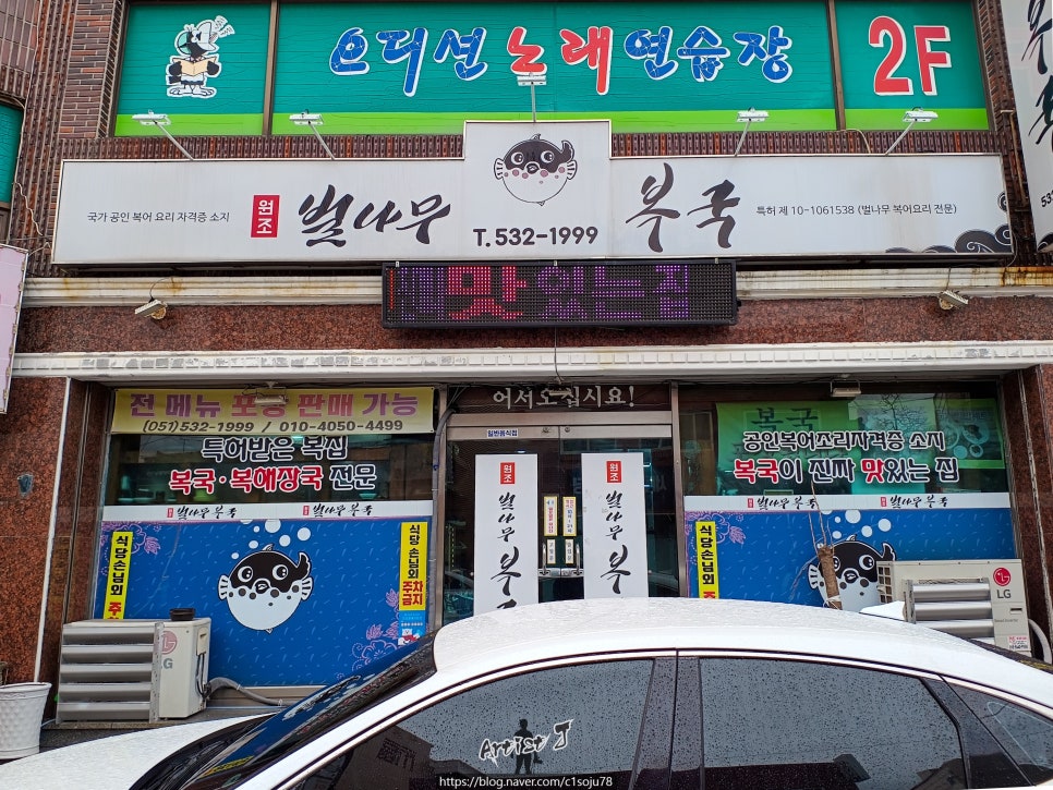 원조벌나무복국 사진 2