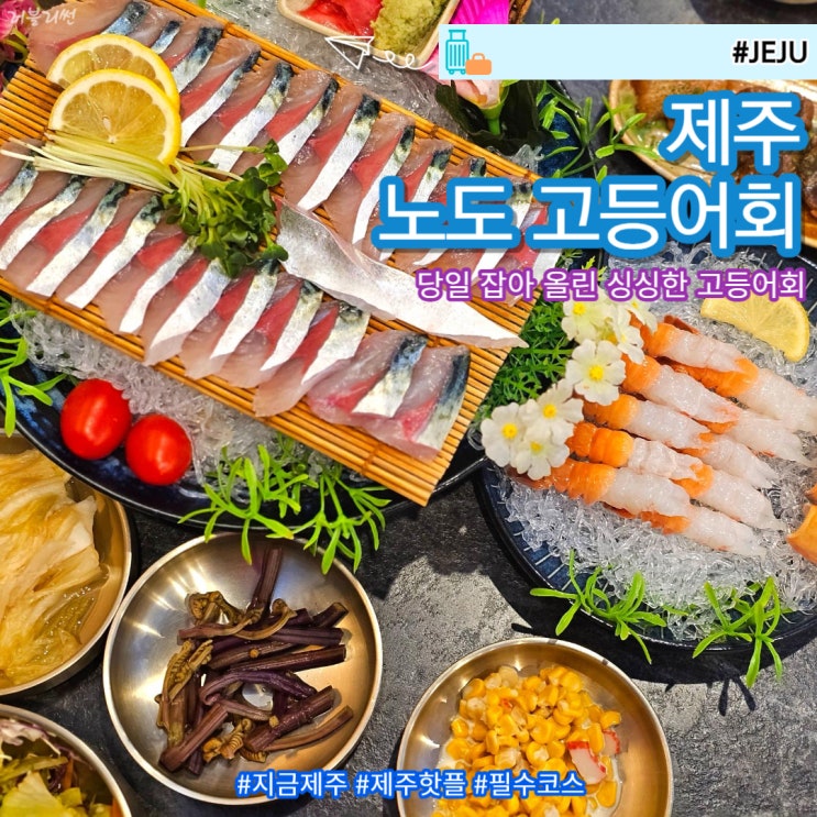  제주 공항근처 로컬 현지인 맛집 노도 고등어회