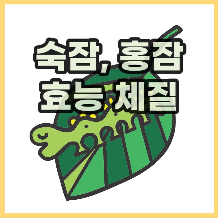  홍잠이란? 효능과 체질까지(익힌 숙잠)