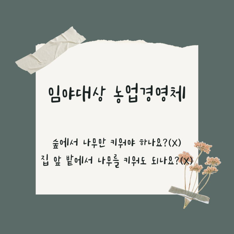 임업경영체 제일 쉬운 정리! 임업경영체의 등록 대상과 혜택을 알아보자
