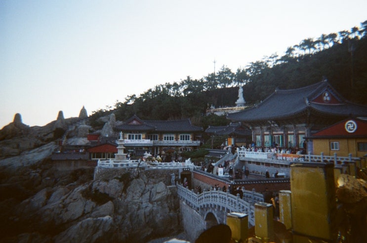  [서울 을지로, 충무로] 셀프 스캔 가능한 필름 카메라 현상, 스캔, 출력 '고래사진관 현상소' 후기, 주차, 금액(가격, '24.06)