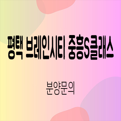  평택 브레인시티 중흥S클래스 미분양아파트 장안동 대단지 줍줍 잔여세대 분양가