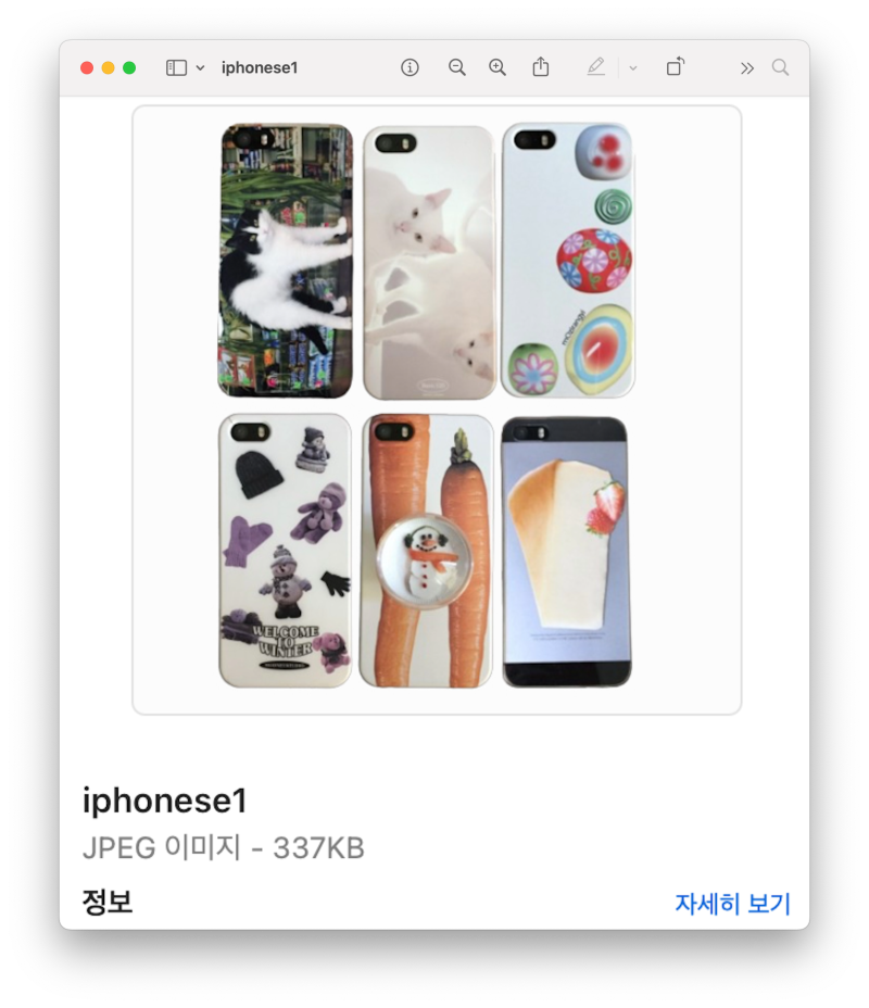아이폰 SE1 폰케이스