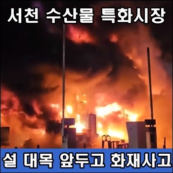 <b>서천</b> 수산물 <b>특화시장</b> 대형 <b>화재</b> 발생