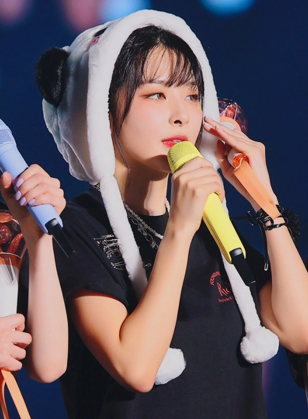 "<b>푸바오</b> 너무 사랑" 직접 그린... 레드벨벳 <b>슬기</b> (인스타그램)