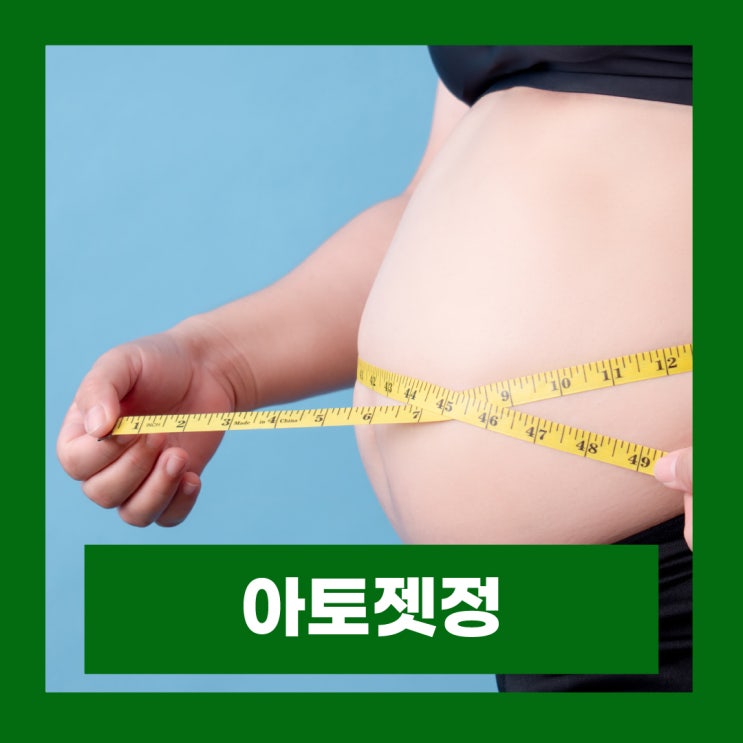  아토젯정 10/10mg 10/20mg 성분 효과 부작용 복용법