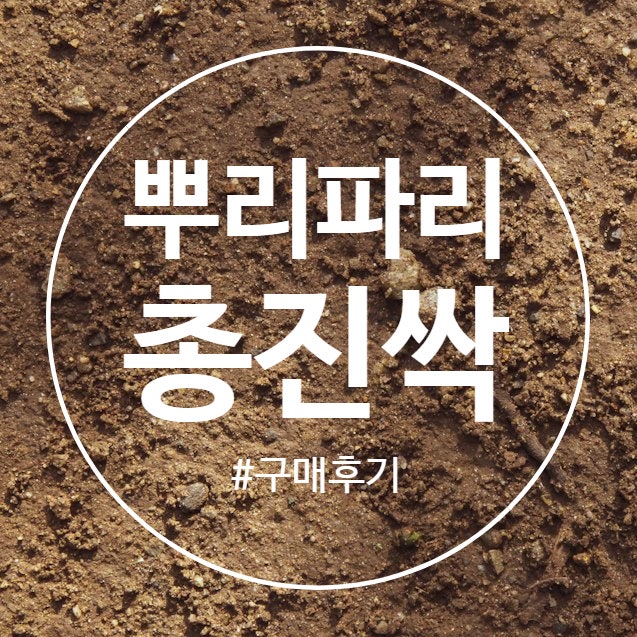  [ 내돈내산 ] 징글징글한 뿌리파리 :: 벅스올킬 유제, 총진싹 입제 구매
