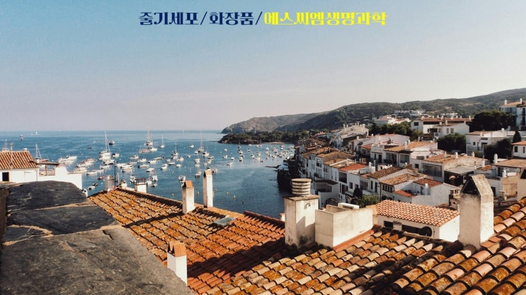  줄기세포/화장품/에스씨엠생명과학