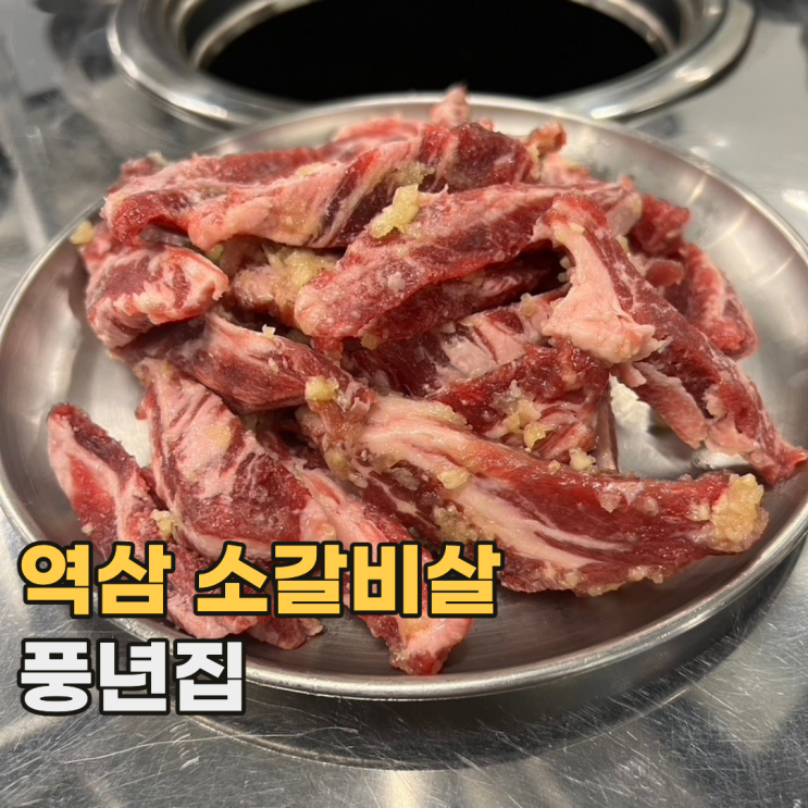  풍년집 역삼본점 소갈비살 단일 메뉴인 강남 노포 맛집