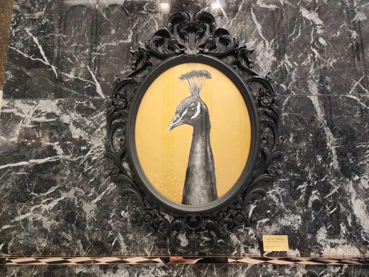  부산영도 라발스 호텔 디럭스룸, 스카이카페 후기