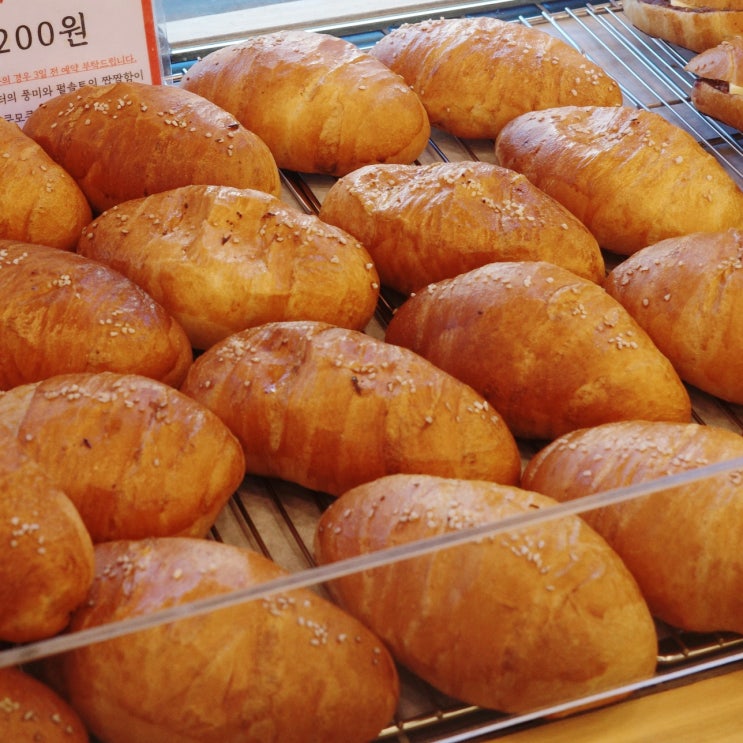  산본 줄서는집! 소금빵 맛집 쿠모쿠모 소금빵/마늘바게트/단팥빵