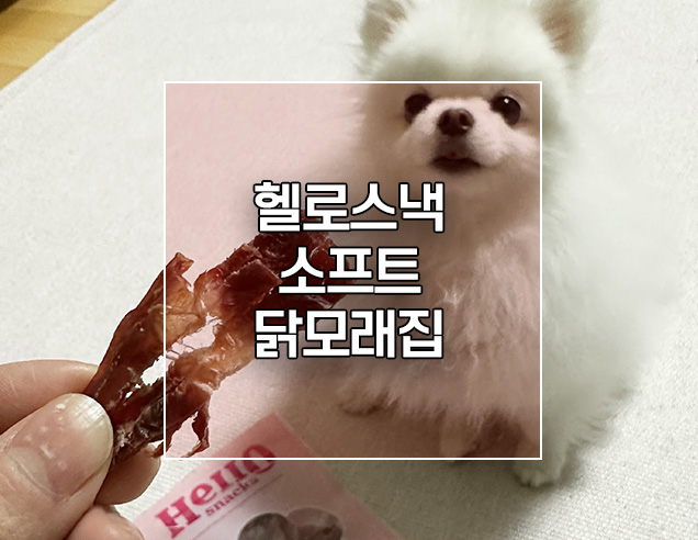  소형견 소프트간식 헬로스낵 소프트닭모래집