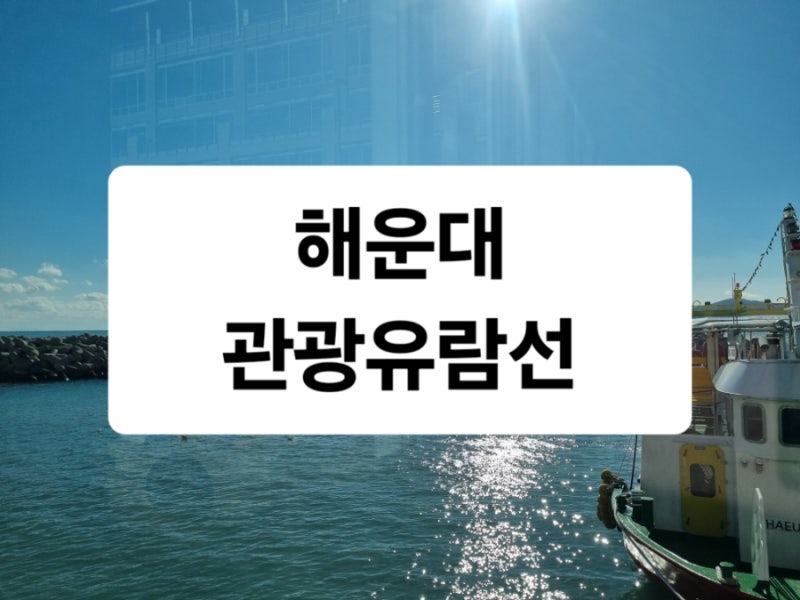 해운대 관광유람선 안내(ft. 위치, 가격, 운임, 코스, 걸리는 시간)