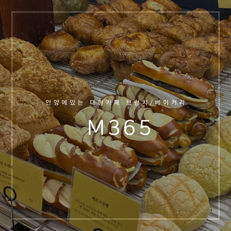 [안양] 평촌역 ‘M365’ 베이커리, 브런치 맛집 대형카페
