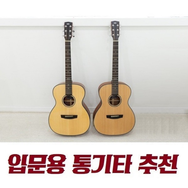 통기타 추천 고르는법 입문용 통기타 종류 헥스 F300